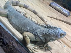 -石家庄市动物园