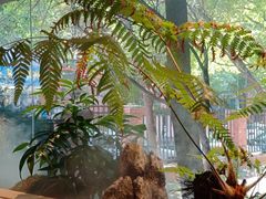 -虹泥小厨(南国花园总店)