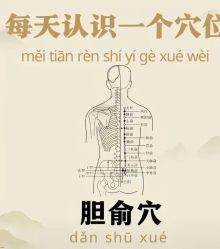 -雅曼妮spa美容养生