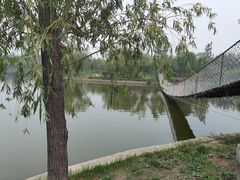 -杨柳青庄园