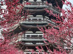 -洋湖国家湿地公园
