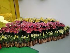 -万顷园艺世界