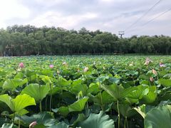 -南戴河国际娱乐中心