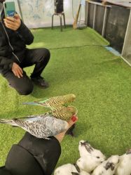 -萌宠亲子动物乐园(槐房万达店)