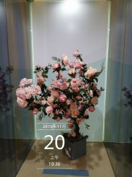 -五洲妇儿医院