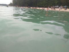 -东姑阿都拉曼海洋公园