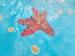 -重庆玛雅海滩水公园