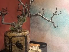 -滇野云南野生菌餐厅(陕西南路店)