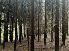 -武陵山森林公园