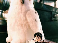 -哈利波特魔法世界
