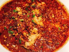 水煮牛肉-辛香汇·现炒川菜(淮海路百盛店)