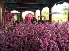 -厦门方特梦幻王国