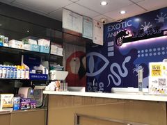 -立德动物医院·异宠·CT·鹦鹉(天河店)