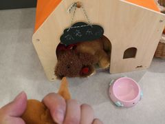 -Ours树朵家亲子餐厅(远策中心店)