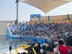 -秦皇岛乐岛海洋王国