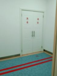-碧莲盛·不剃发植发