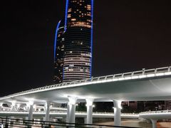 -演武大桥观景平台
