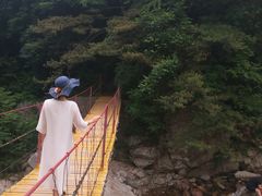 -秦岭风景区