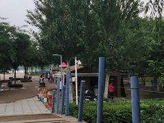 -长白岛森林公园