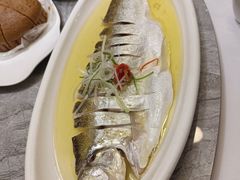 -老绍兴养和饭店(向阳不夜城店)