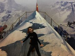 -东方明珠国际旅行社有限公司