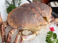 -斯普汇生蚝牛排馆(中骏世界城店)