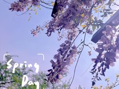 -竹子庵公园