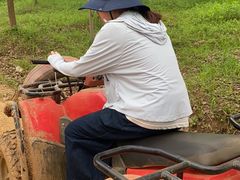 -梁子湖东篱老屋生态庄园