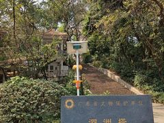 -惠州泗洲塔