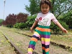 -永定河休闲森林公园