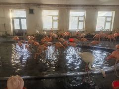 -哈尔滨北方森林动物园