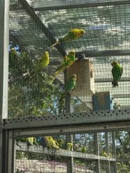 -萌宠亲子动物乐园(槐房万达店)