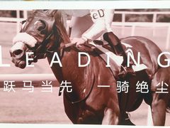 -枫露马术学院(藏书校区)