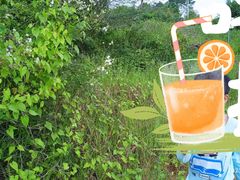 -北海金海湾红树林生态旅游区