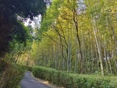 -天目湖涵田度假村