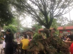 -青城甲(青城山店)