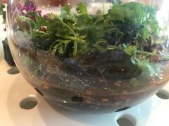 -好福记饭店(红梅公园店)