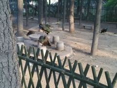 -罗庄动物园
