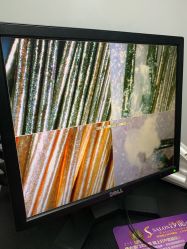 -章光101防脱养发荟