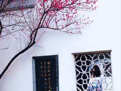 -八大山人梅湖景区