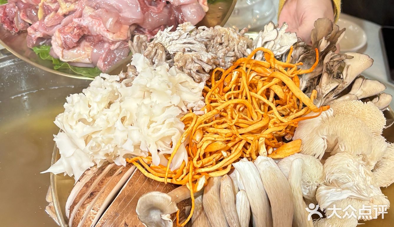 韶关周末去哪玩｜赏樱花🌸采菌子🍄