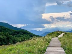 -白草畔自然风景区