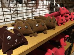 -猫咪博物馆(顶澳仔猫街店)