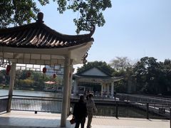 -荔湾湖公园