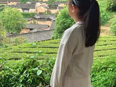 -杨家堂村