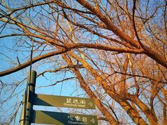 -迎泽公园