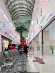 -复旦大学附属妇产科医院(杨浦院区)