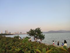 -深圳湾公园(南山区)
