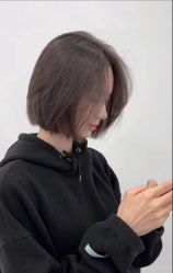 -爱维丽
