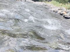-太阳溪漂流